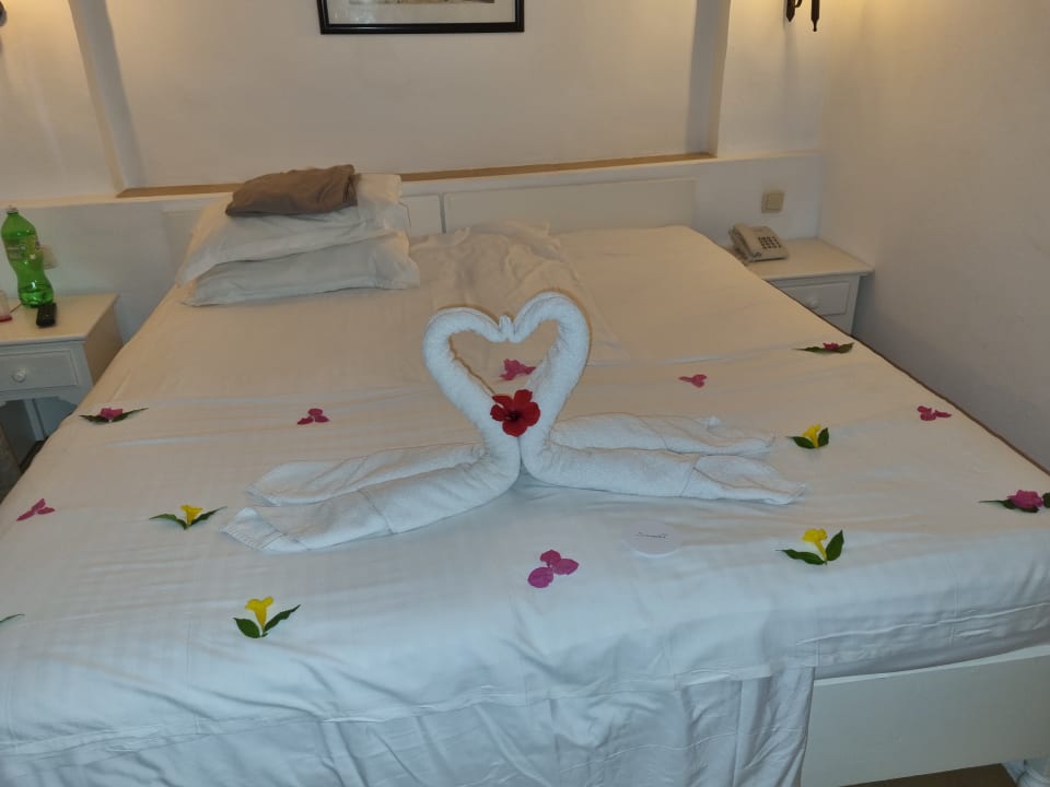 Zimmer Royal Karthago Djerba