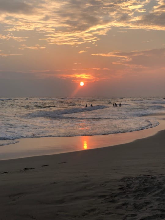 Strand Hotel Haus am Meer Wilde Ananas