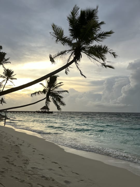 Ausblick Reethi Faru Resort