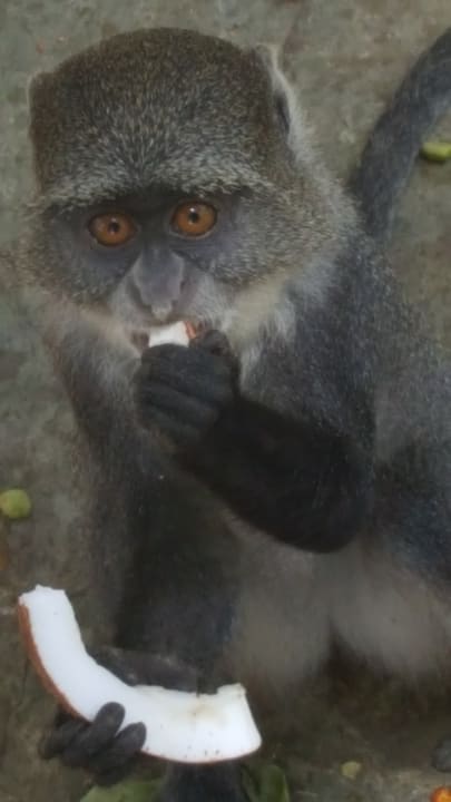 Sonstiges Neptune Village Beach Resort & Spa