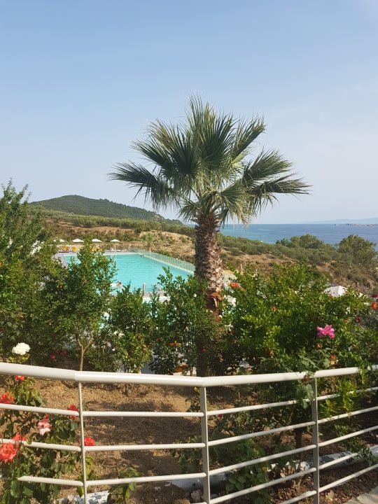 Gartenanlage Akrathos Beach Hotel