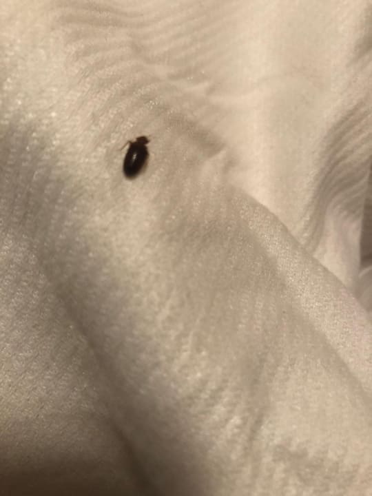 Zimmer Hotel Itzlinger Hof