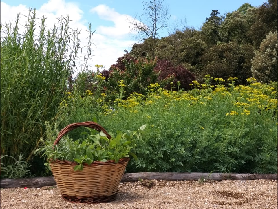 Gartenanlage Hotel Il Salviatino