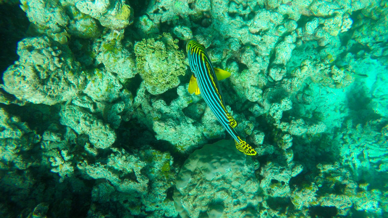 Sport & Freizeit Cinnamon Dhonveli Maldives