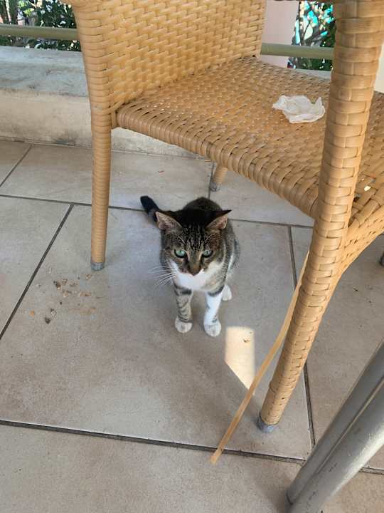 Sonstiges Limak Limra Hotel & Resort