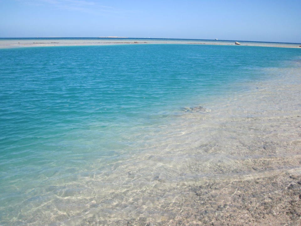 Karibikflair Makadi Spa - Adults only