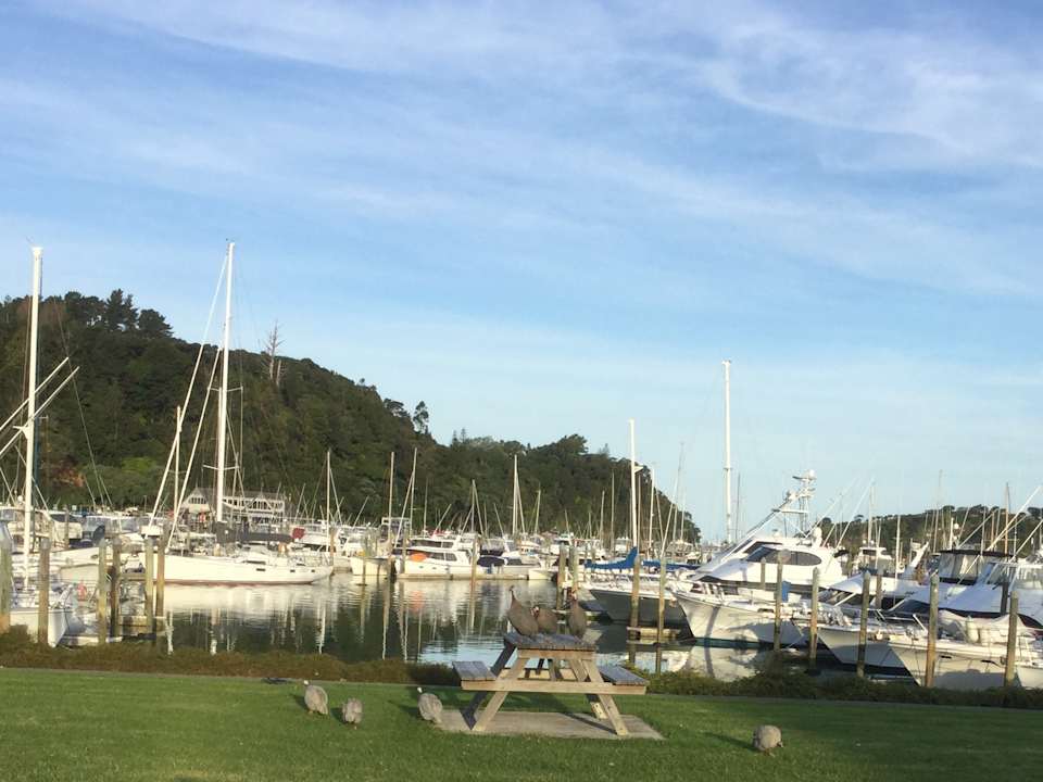 Tutukaka Bay mit kleiner Grünanlage direkt vor dem Hotel Hotel Oceans Tutukaka