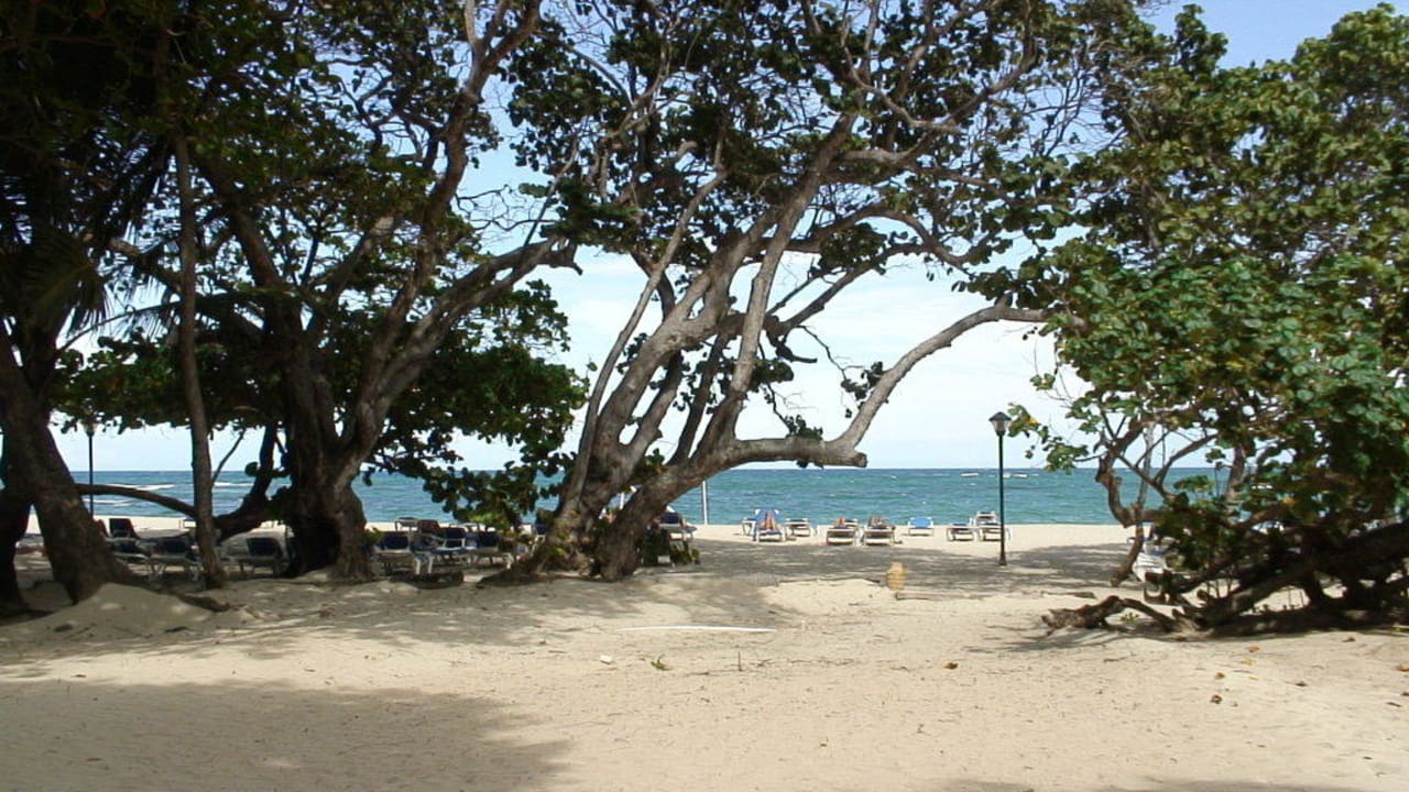 Am Strand Marien Puerto Plata
