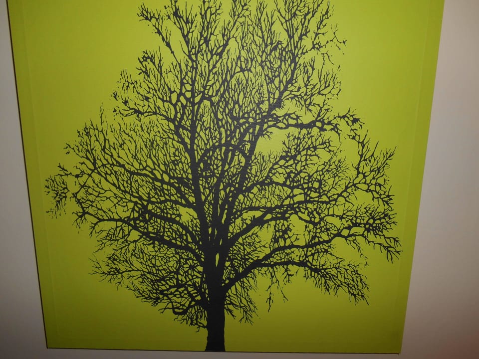 These type of pictures in the hotel/rooms Hotel Washbourne Court