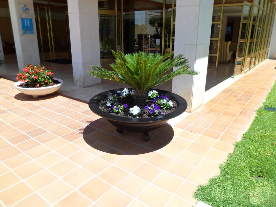 Eingang CM Playa del Moro