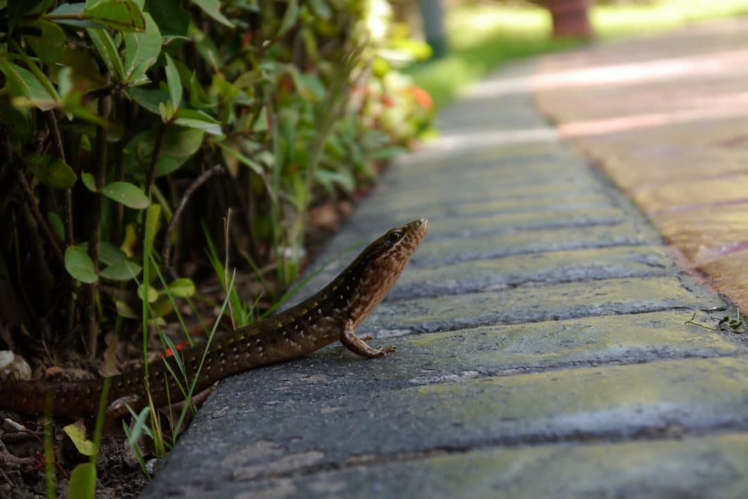 Sept. 2013 Grand Palladium Select Bávaro Resort & Spa