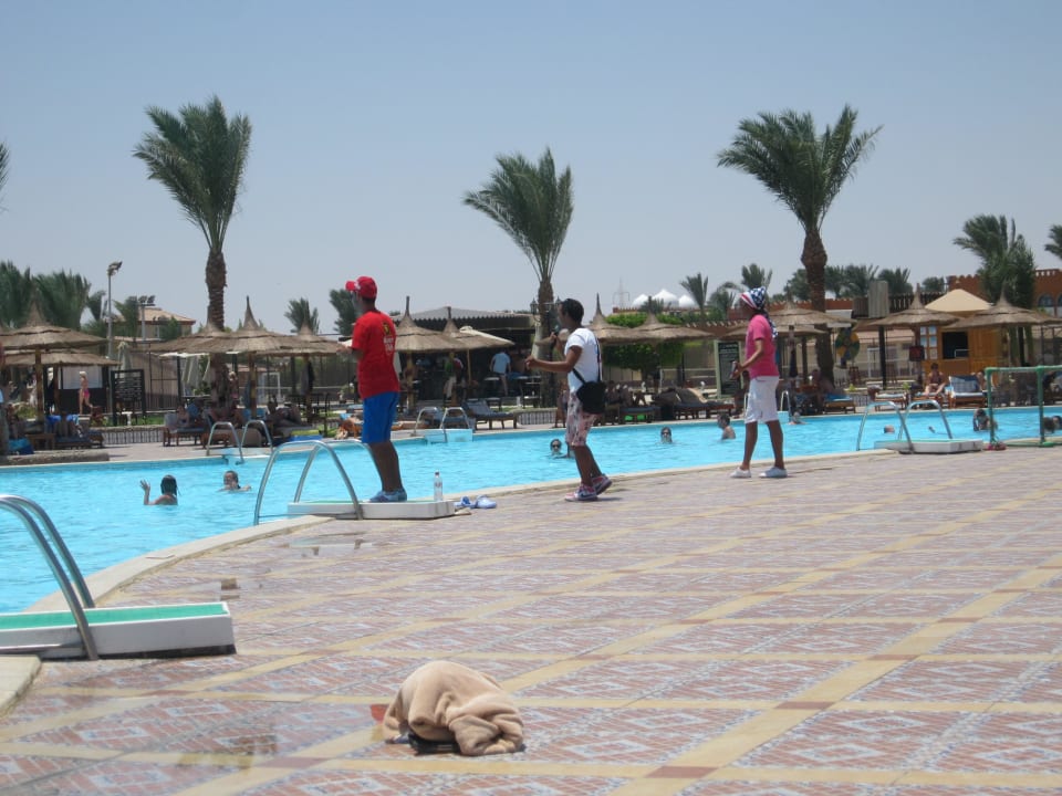 Аниматоры танцуют клубный танец Pickalbatros Dana Beach Resort - Hurghada