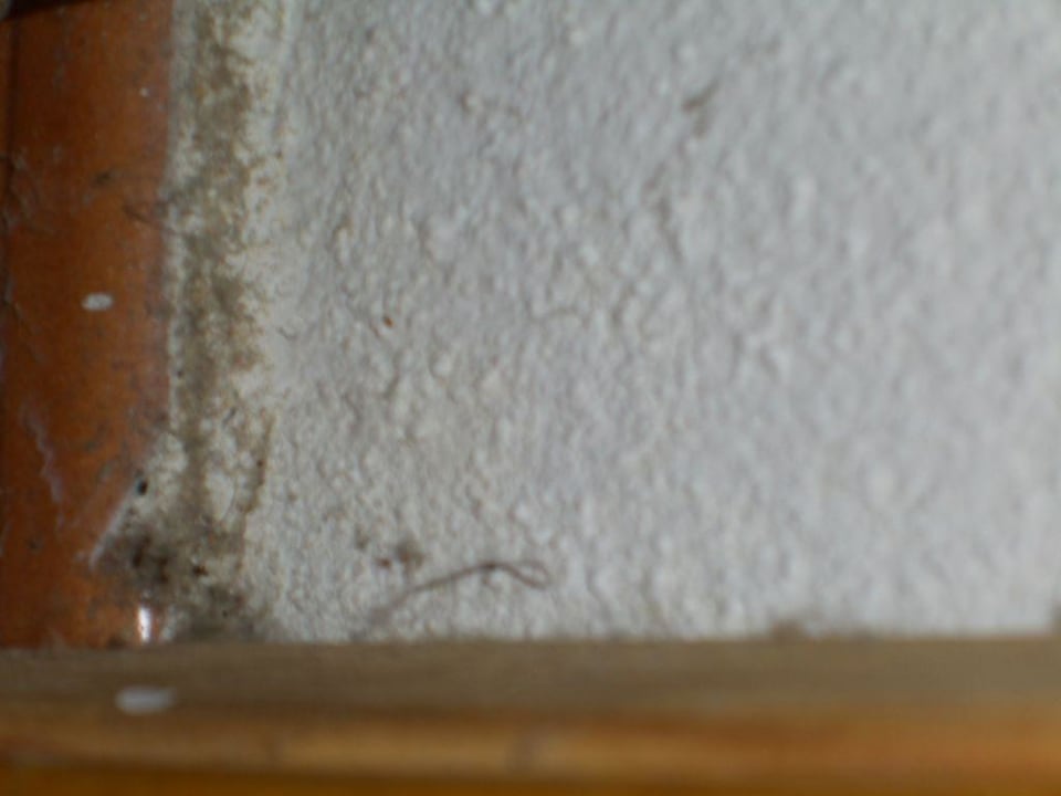 Annex "Sa Mirada" 1 Apartments Isla Paraiso