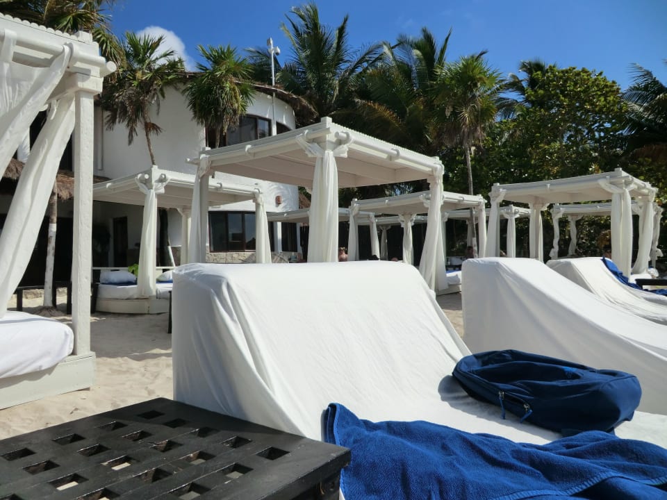 Strand Select Club Sandos Caracol Eco Resort & Spa Select Club Adults only - All Inclusive