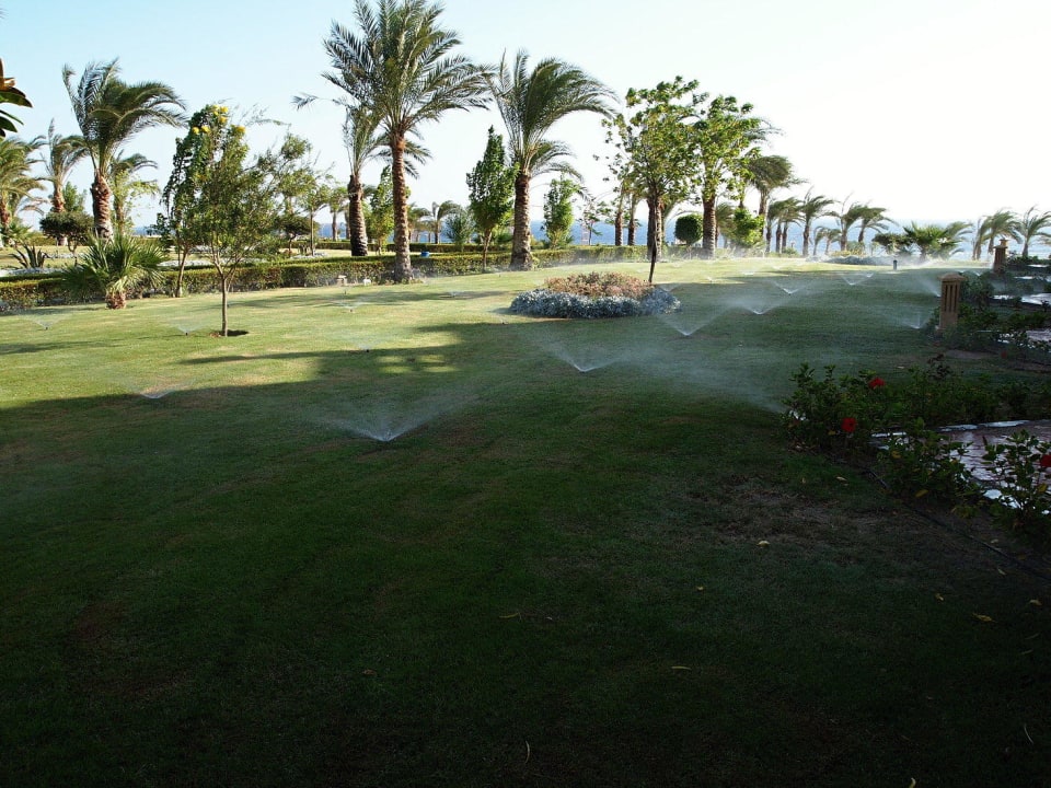 . Fantazia Resort Marsa Alam
