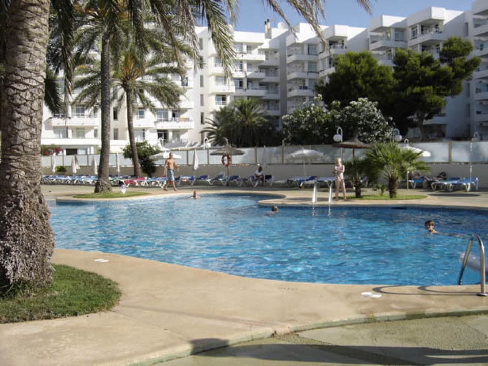 Der Pool am Morgen Aparthotel Playa Dorada