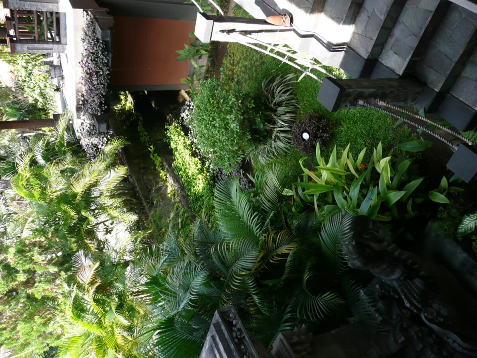 Überall schöne Pflanzen Hotel Nugraha Lovina Seaview Resort & Spa