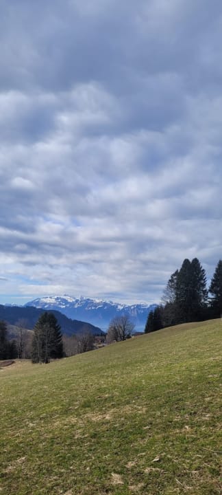 Ausblick Das Bayrischzell Familotel Oberbayern