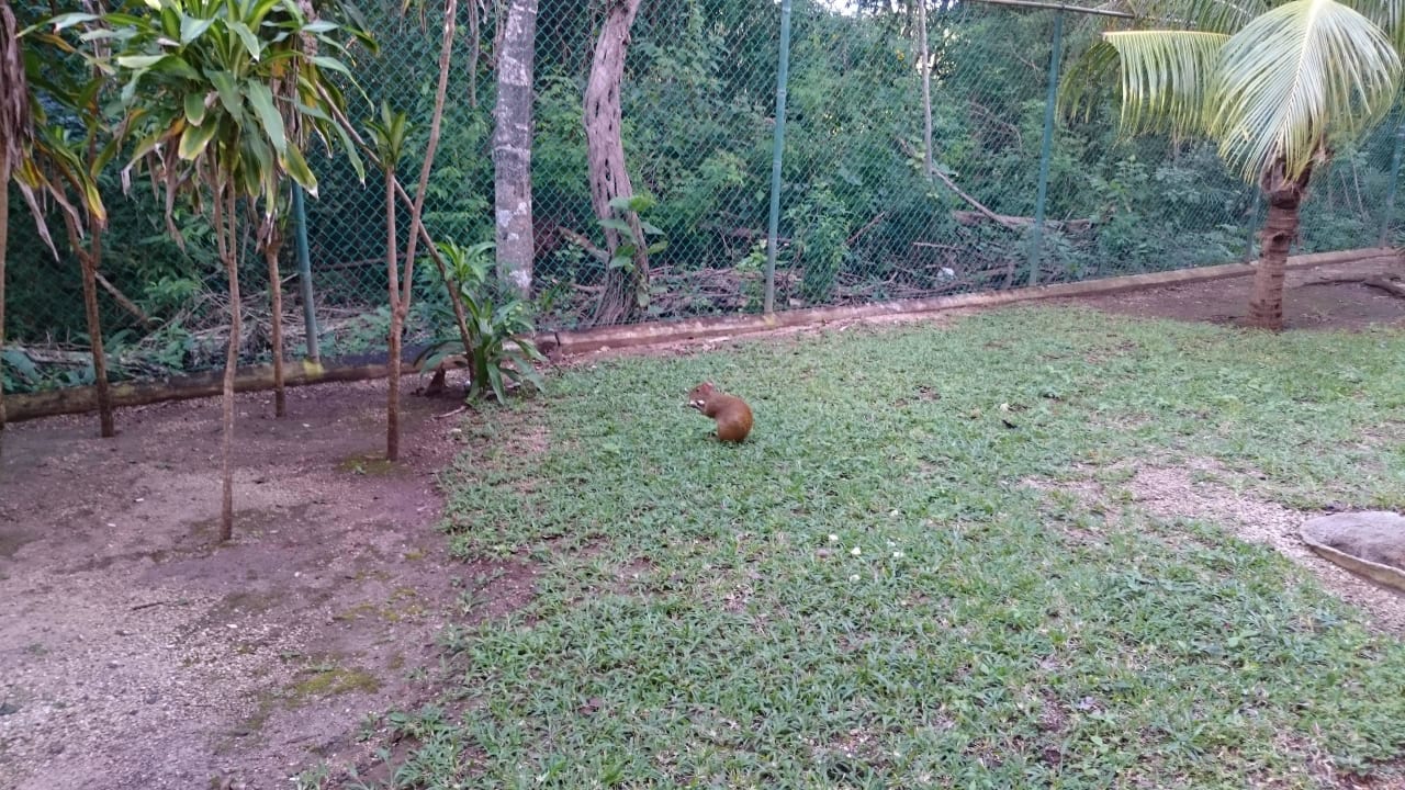 Nachbarn Hotel Riu Tequila