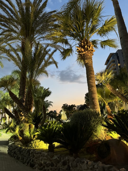 Gartenanlage Amathus Beach Hotel Limassol