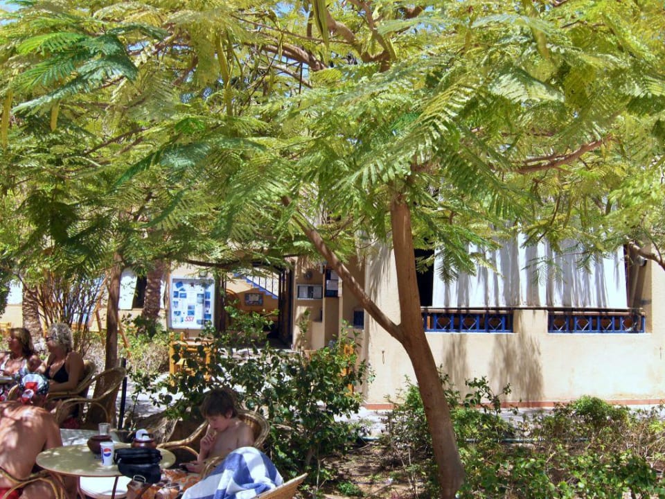 Gartanlandschaft an der Tauchschule Jaz Makadina