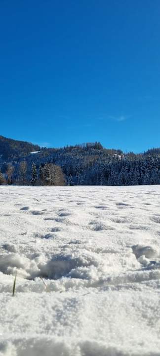 Sonstiges Hotel Panorama Royal