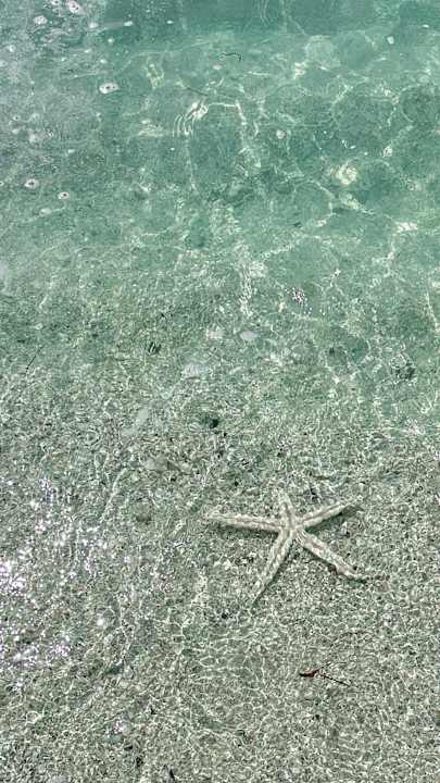 Strand La Pirogue Mauritius