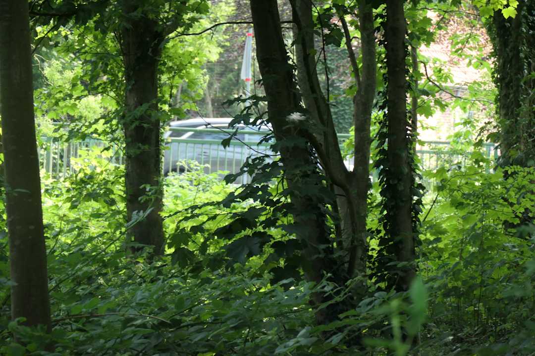 Ausblick Architektenhaus am Pewsumer Tief
