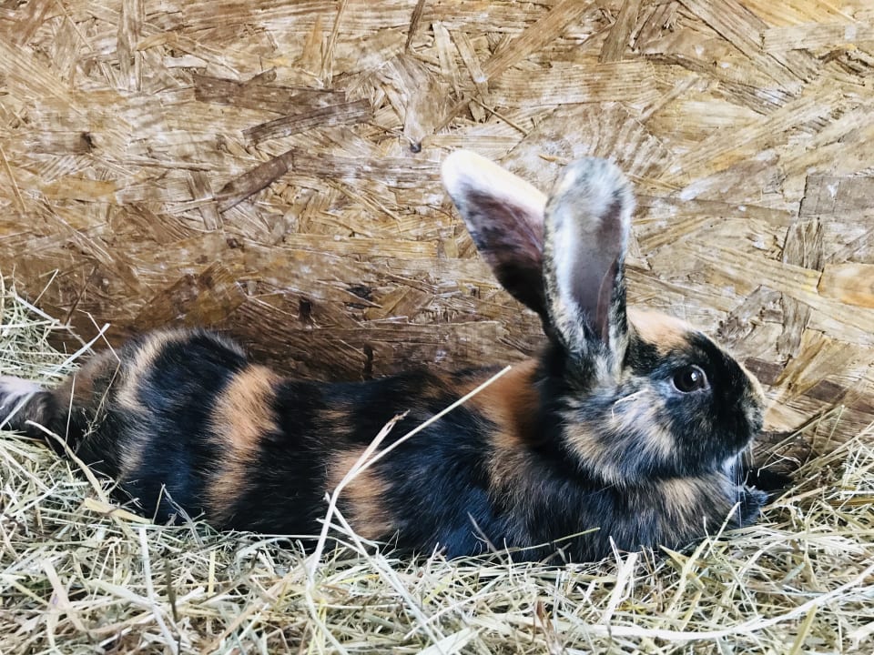 Sport & Freizeit Schmidbauernhof