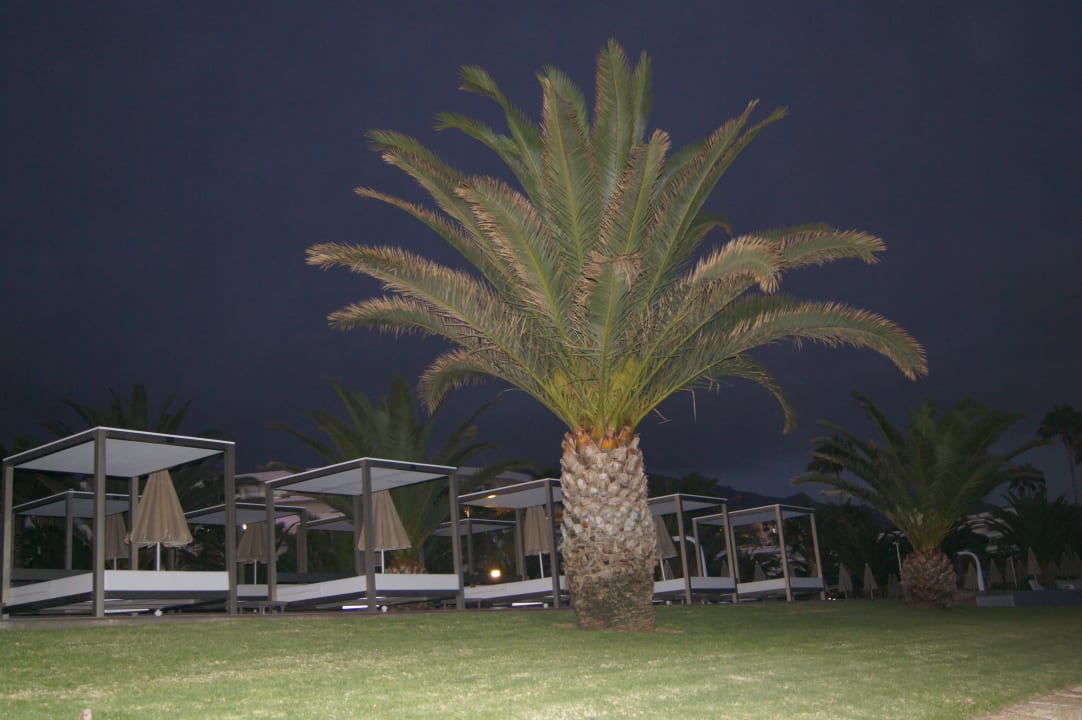 Außenansicht Hotel Riu Palace Tenerife