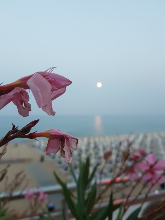 Sonstiges Sol Luna Bay