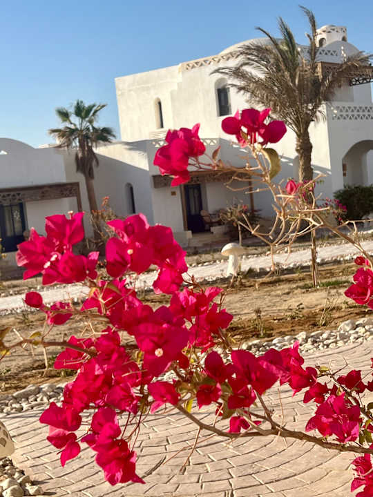 Außenansicht Beach Safari Nubian Resort