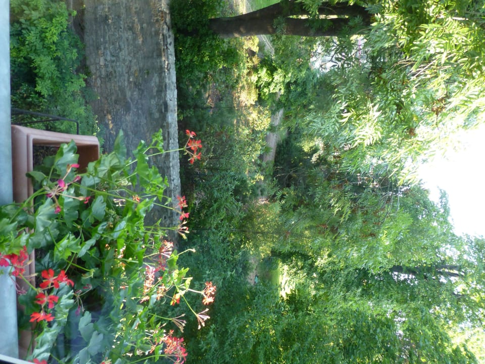 Aussicht Best Western Wein- & Parkhotel Nierstein