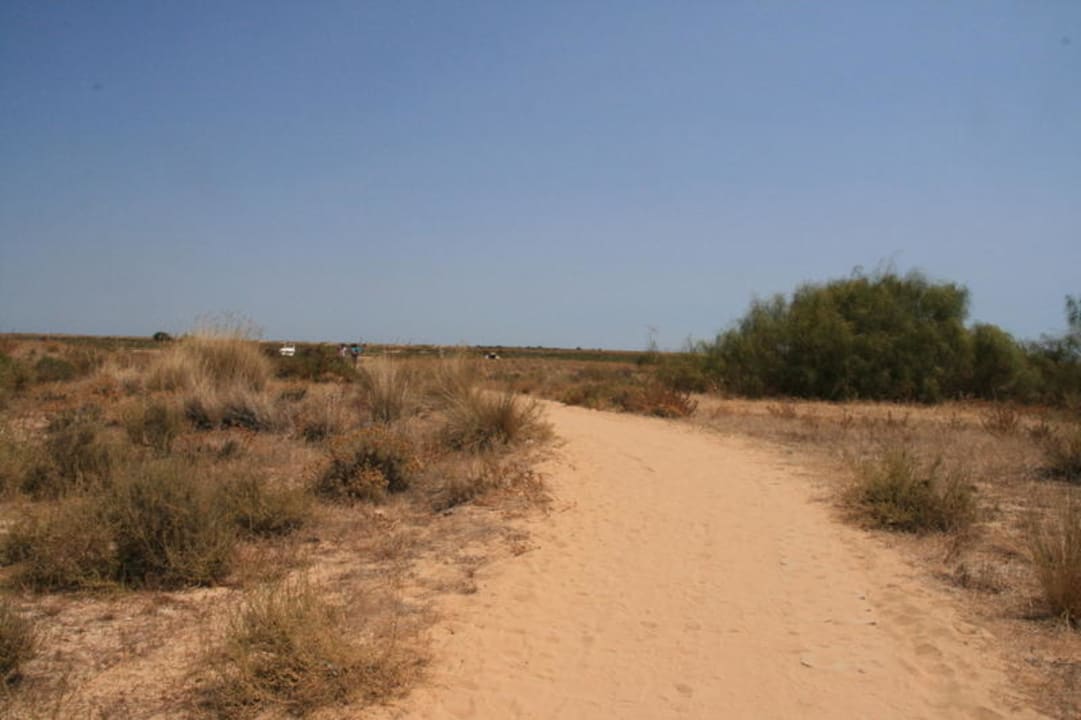 also laufen wir mal los Golden Club Cabanas