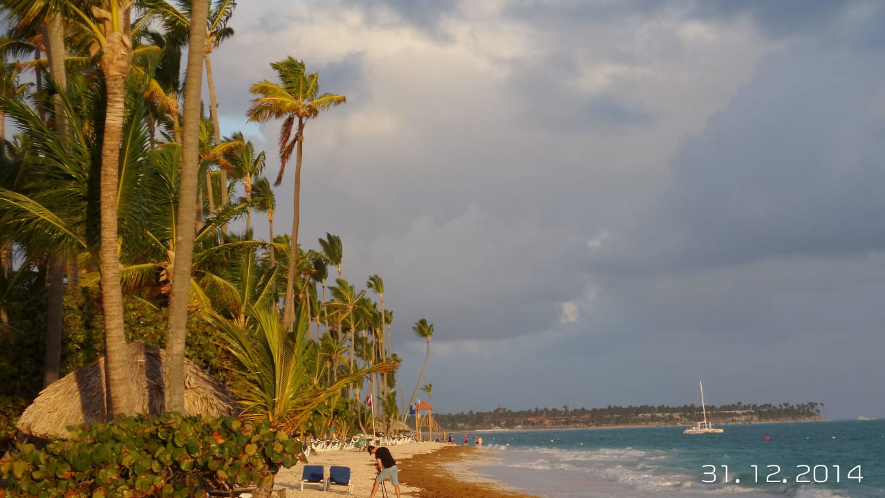 Seegras im Wasser kann vorkommen, am Strand nicht! TRS Turquesa Hotel - Adults only