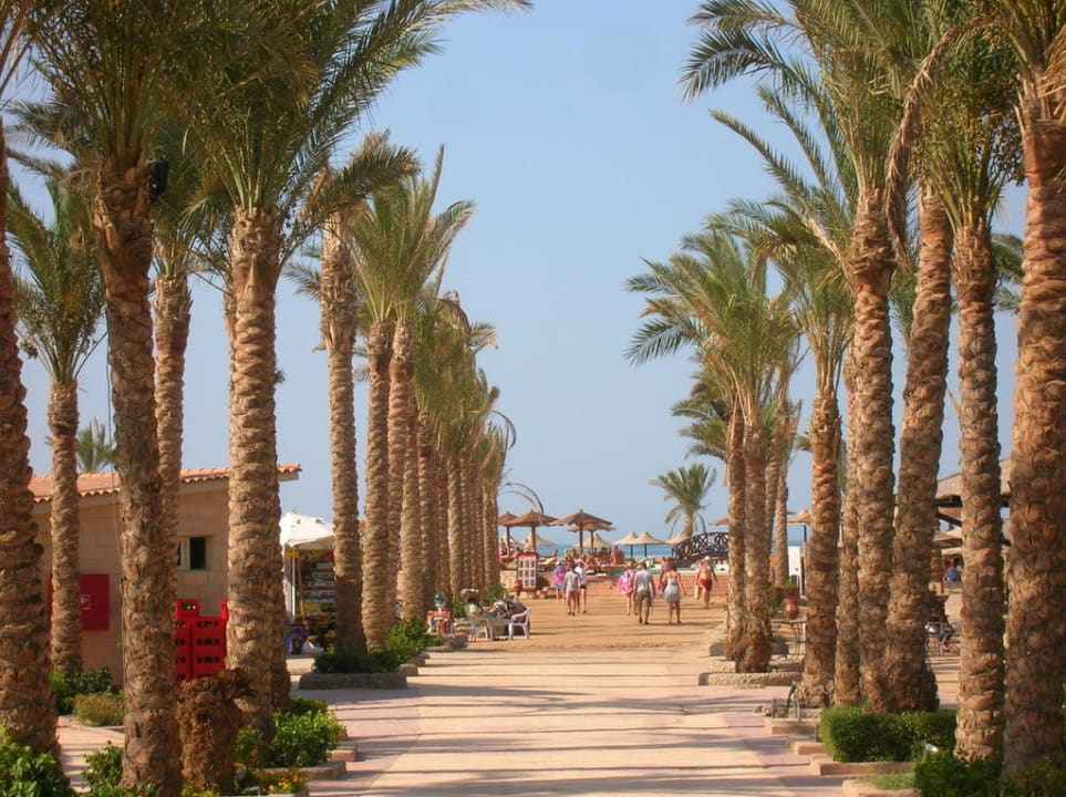 Aleja palmowa Le Jardin Aqua Park Resort