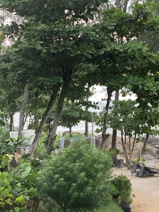 Gartenanlage Moracea by Khao Lak Resort