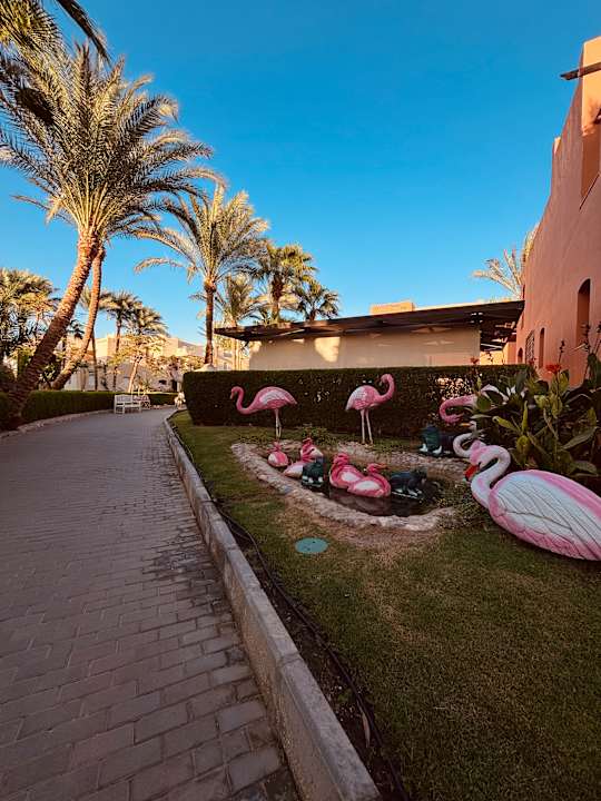 Strand Jaz Makadi Gardens - TUI BLUE Makadi Gardens - Adults Friendly 16 Years Plus