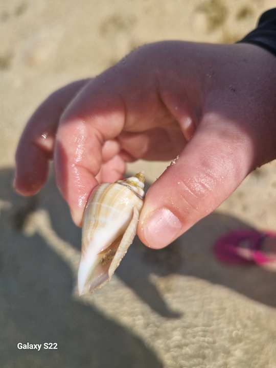 Strand Grand Waterworld Makadi & Family Star Makadi