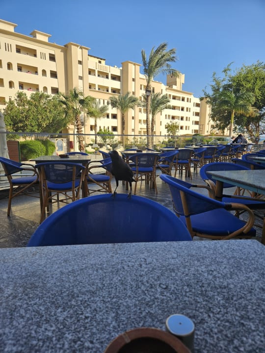 Gastro King Tut Resort