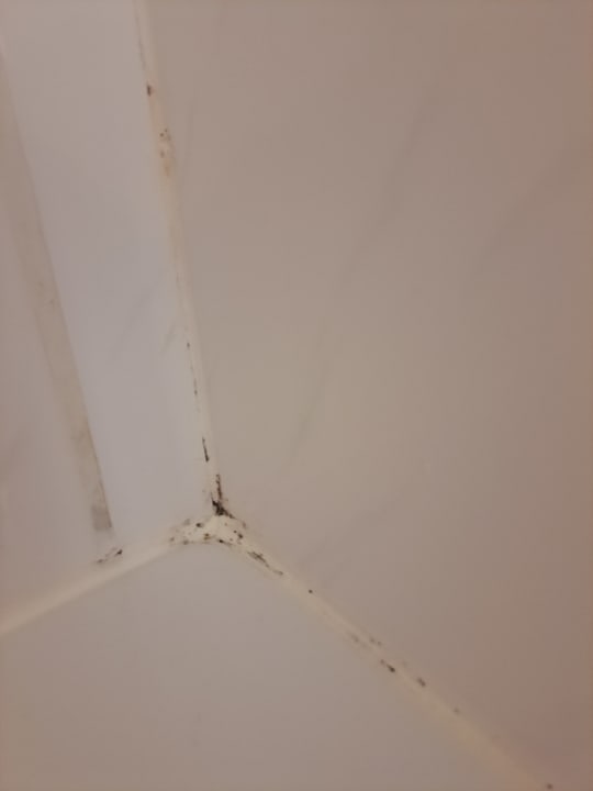 Zimmer Steigenberger Hotel & Spa Bad Pyrmont