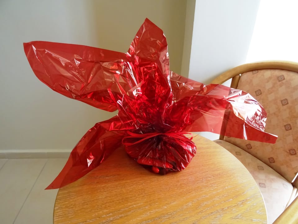 Zimmer Hotel Atlantis Beach