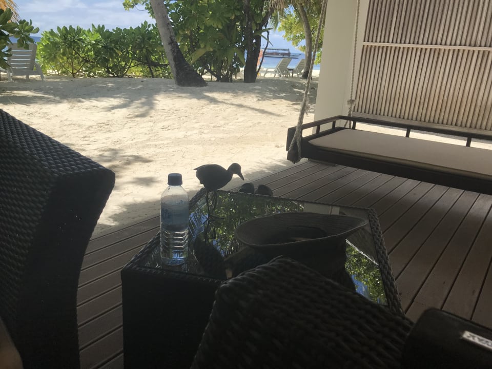 Sonstiges Angaga Island Resort