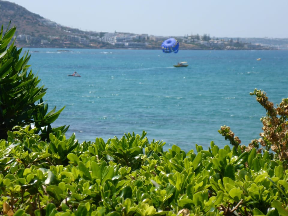 Wunderschön Alexander Beach Hotel & Village Resort