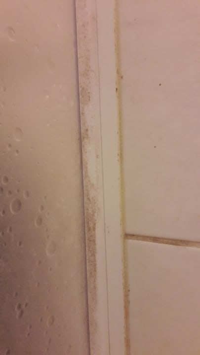 Schimmel  Hotel Traunerhof