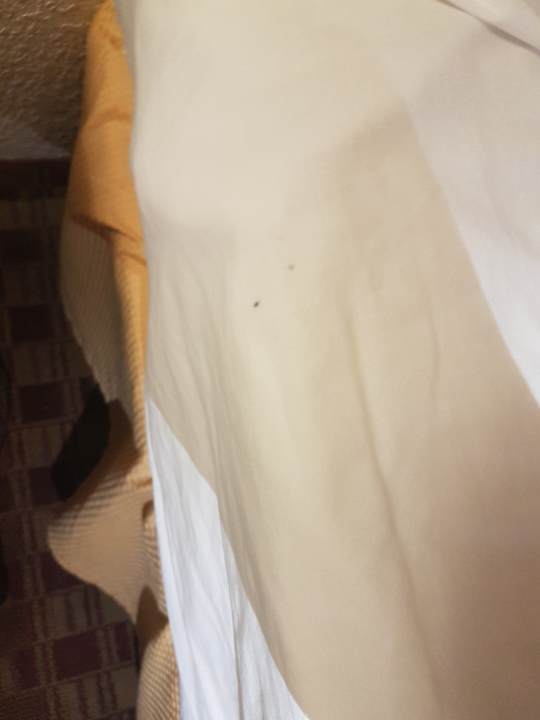 Zimmer Champions World Resort