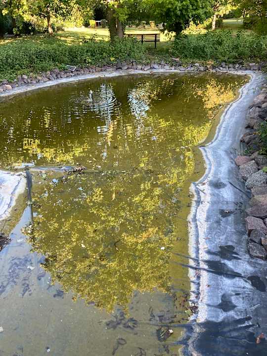 Außenansicht Best Western Parkhotel Brehna - Halle