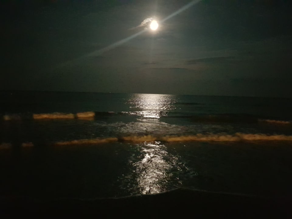 Strand Hotel International