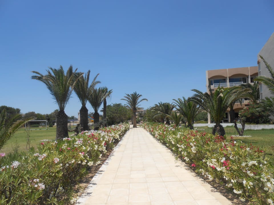 Weg zum Strand  AQI Venus Beach