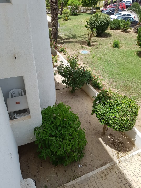 Gartenanlage Hotel El Mouradi Skanes Beach